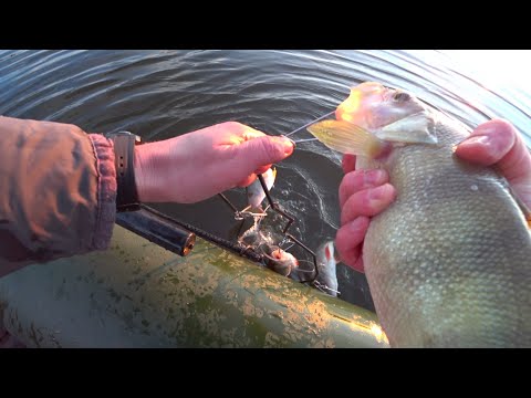 Видео: Закрытие ДЖИГОВОГО сезона (часть 1). КРУПНЫЕ ОКУНИ на УЛЬТРАЛАЙТ или как поймать ПАССИВНОГО ОКУНЯ.