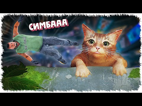 Видео: Мен мысыққа айналып кеттім (Stray)