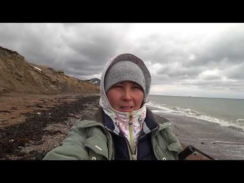 Видео: Море штормит. Интересно, что бросает..