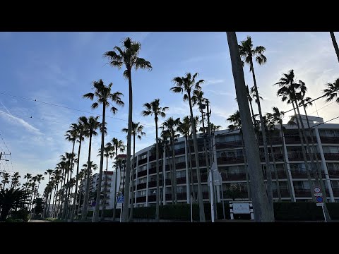 Видео: Поехала в Малибу, но осталась в Японии. Прогулка по побережью Zushi Marina. Сагамский залив.