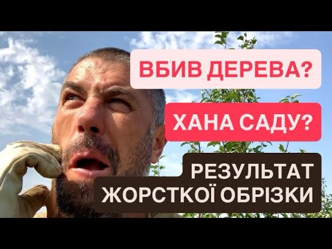 Видео: ЖОРСТКА ОБРІЗКА саду. ВБИВ ДЕРЕВА? Результати влітку