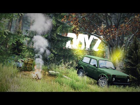 Видео: Напали и обокрали клан в лесу - DayZ