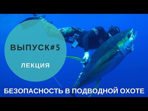 Видео: Безопасность в подводной охоте #5. Блэкаут.