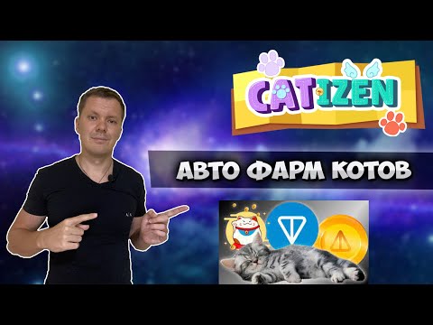 Видео: Catizen как заработать ?