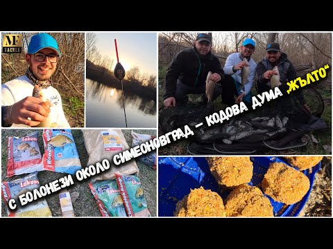 Видео: Риболов с болонезе на р.Марица - River Fishing