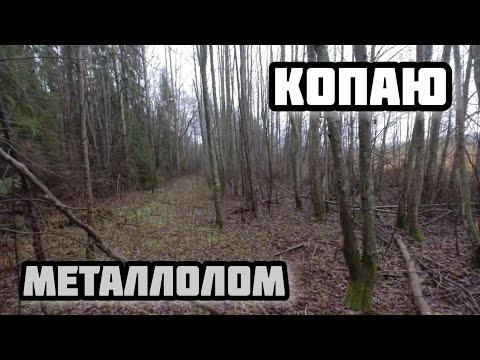 Видео: Копаю металлолом с МД 4030 pro