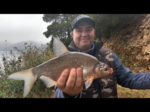 Видео: Река Эбро, шикарно порыбачили
