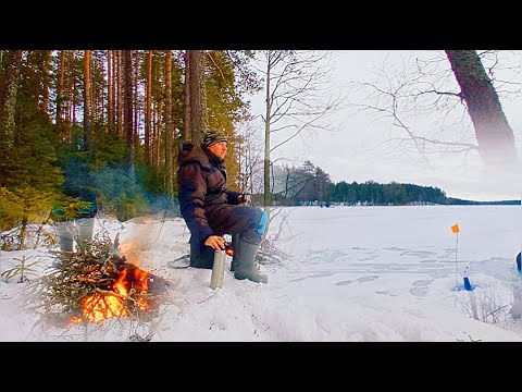 Видео: РЫБАЛКА НА ОЗЕРЕ. СТАВИМ ЖЕРЛИЦЫ,ЛОВИМ ОКУНЯ,ЖГЕМ КОСТЕР.