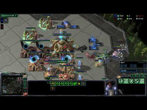 Видео: SC2 Медведь ПвТ