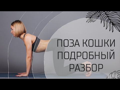 Видео: Марджариасана поза кошки - самое эффективное упражнение для позвоночника!