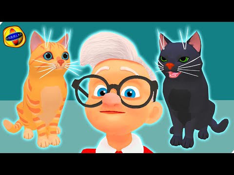 Видео: Кот и Бабка