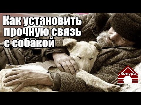 Видео: 180. Как установить прочную связь с собакой. Как заслужить доверие