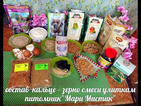 Видео: МОЙ РЕЦЕПТ ПРИГОТОВЛЕНИЯ КАЛЬЦЕ - ЗЕРНО СМЕСИ ( ПИТОМНИК МАРИ МИСТИК )