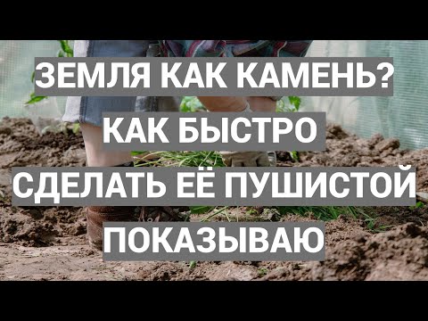 Видео: Как работает высококонцентрированное удобрение на целине