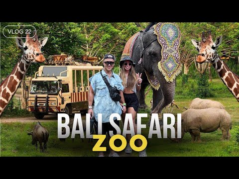 Видео: ЛУЧШИЙ ЗООПАРК НА БАЛИ | BALI SAFARI | КОРМИМ ЛЬВОВ И ТИГРОВ ИЗ КЛЕТКИ