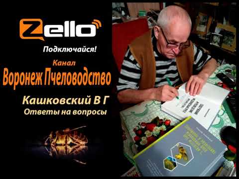 Видео: Кашковский В Г 09 06 2021г канал Воронеж Пчеловодство, интернет рация Zello.