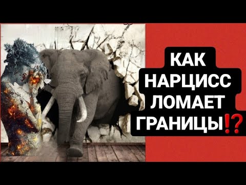 Видео: КАК НАРЦИСС ЛОМАЕТ ГРАНИЦЫ / МОЙ НОВЫЙ ГОД С НАРЦИССОМ #психология #нарциссы