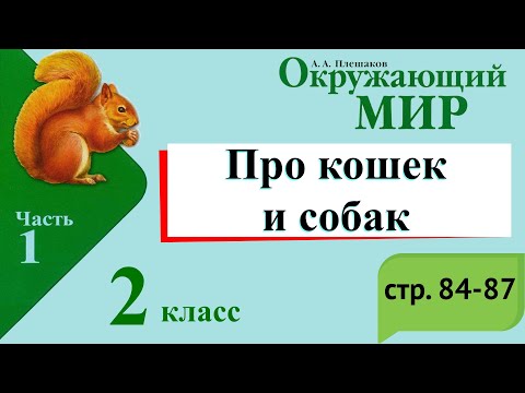 Видео: Про кошек и собак. Окружающий мир. 2 класс, 1 часть. Учебник А. Плешаков стр. 84-87