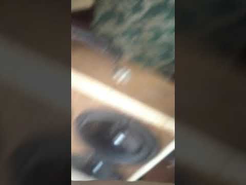 Видео: Виталя Джа загорелась гидропоника на сабе