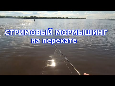 Видео: Мормышинг на перекатах Оки. 6 видов рыб. Немного вертушек и микроджига.