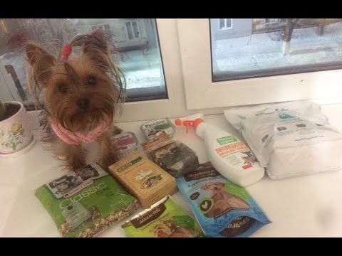 Видео: Покупки из зоомагазина для собак и грызунов=)