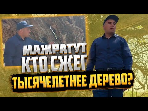 Видео: Секреты Туркестана. Неизведанное. Шаммат Ишан и Мажратут. Многие этого не видели точно!