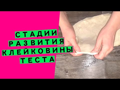 Видео: Развитие клейковины 🧪 теста: приемы работы с пшеничным хлебом [ДЛЯ ЧЕГО НУЖНО УКРЕПЛЯТЬ КЛЕЙКОВИНУ]