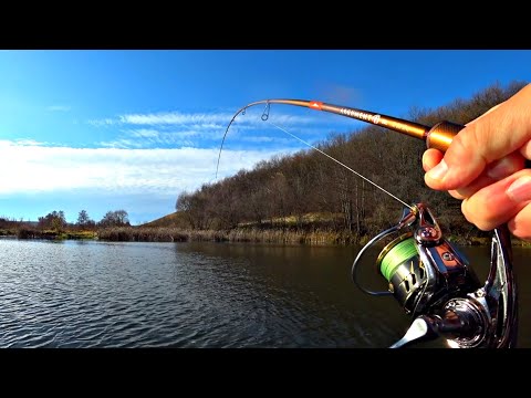 Видео: КРУПНАЯ ЩУКА ТАЩИТ В КОРЯГИ И ЖГЕТ ФРИКЦИОН. Не ожидал тут поймать такую рыбу. Рыбалка на спиннинг