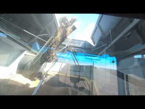 Видео: 9 июля. Уборка 2021 началась. РСМ-161 на просторах АГРОМАЯКА.