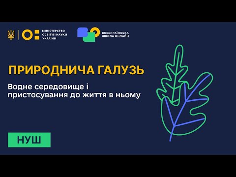 Видео: Природнича галузь. Водне середовище і пристосування до життя в ньому