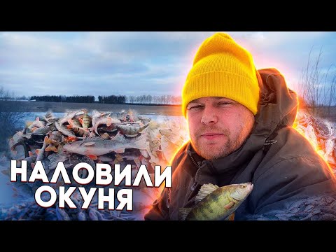 Видео: СКОЛЬКО ОКУНЯ В ЭТОМ МЕСТЕ? ПРИГОТОВИЛИ БЛИНЫ НА РЫБАЛКЕ