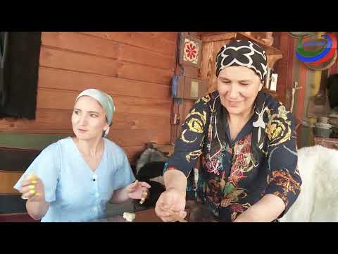 Видео: Годекан. Акушинский район