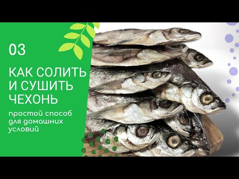 Видео: Как правильно СОЛИТЬ и СУШИТЬ чехонь в домашних условиях