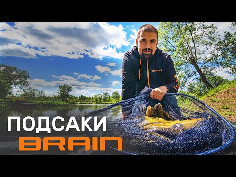 Видео: Обзор подсак Brain для фидерной, поплавочной и карповой рыбалки.