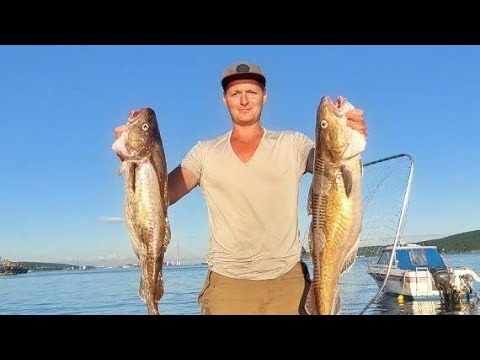 Видео: Ловим Треску на банке Зубр