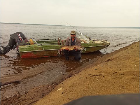 Видео: Рыбалка.Один на реке с монстрами.)