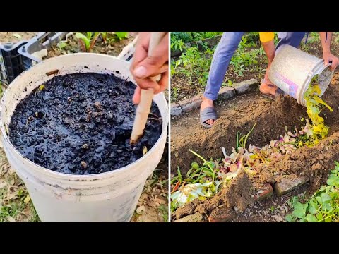 Видео: Методы обогащения почвы БЕЗ ЗАТРАТ на 1000 лет! Без химикатов!