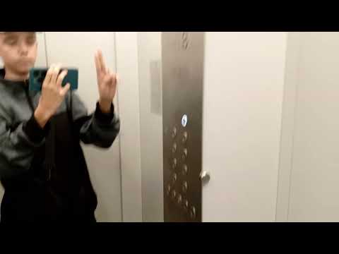 Видео: Музыкальный лифт ЩЛЗ 2024 г.в 400 кг V=1 м/с