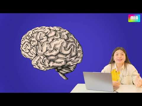 Видео: Биология пәнінен ҰБТ-ға дайындық сабағы. Тақырып: "Жүйке жүйесі"