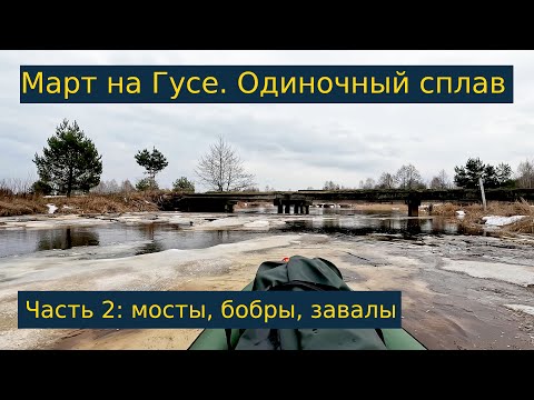 Видео: Одиночный сплав по реке Гусь. Март, 2023. Часть 2