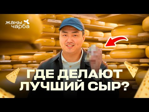 Видео: Где делают лучший сыр ? / Жаңы Чарба
