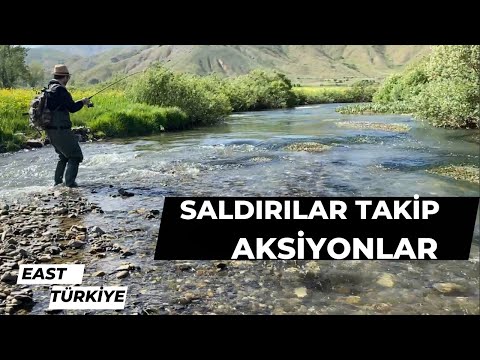 Видео: РЫБАЛКА - РЫБНЫЕ АТАКИ 2 - ОТЛИЧНЫЕ ПОДБОРКИ ПО РЫБАЛКЕ ДИКОЙ ФОРЕЛИ В РЕЧИ - АВЛАК 2020-2023