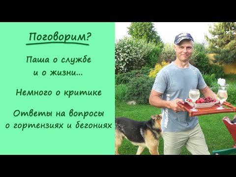 Видео: ЗАДУШЕВНО: Паша о службе и о жизни. О критике. + Ответы на вопросы по гортензиям и бегониям.