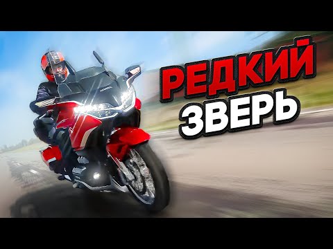 Видео: Обновленный Honda Goldwing 2021 - что там можно было улучшить? #МОТОЗОНА №137