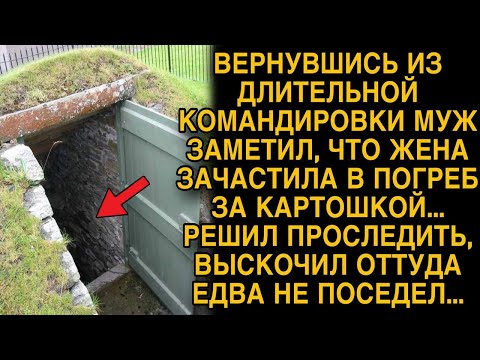 Видео: Вернувшись из командировки, муж заметил, что жена зачастила в погреб, а проследив...