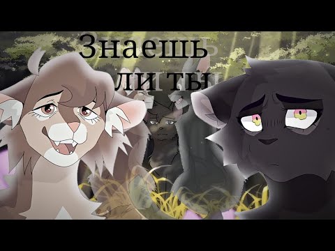 Видео: {Коты-Воители Клип} Листвичка, Грач и Сумеречница: -Знаешь ли ты?..