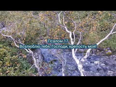 Видео: Псалом 17