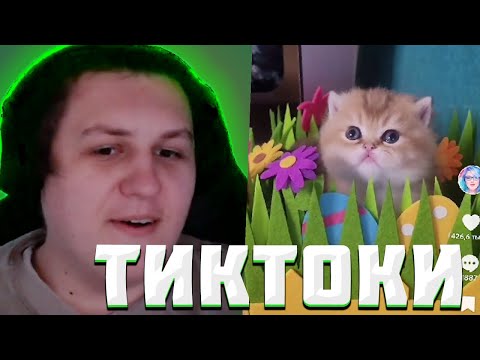 Видео: КАКТО СМОТРИТ ТИК ТОК #14 | Нарезка стрима