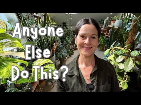 Видео: Исповедь владельца растения 🌱 Сколько из этого вы делаете?