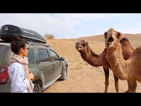 Видео: #4 Иран. Нападение верблюдов. Застряли в пустыне. Renault Duster Club